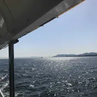 神戸ベイクルーズの写真・動画_image_201209