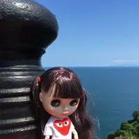 熱海城の写真・動画_image_201257