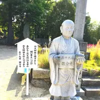 国分寺の写真・動画_image_201336