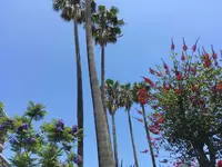 熱海サンビーチの写真・動画_image_201351