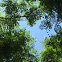 熱海サンビーチの写真・動画_image_201352