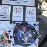 メッゲンドルファーの写真・動画_image_201390