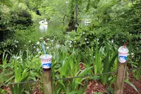 ブルースカイコーヒーの写真・動画_image_201447