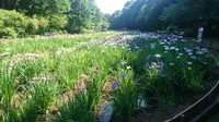 智光山公園の写真・動画_image_201478