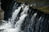 大津谷公園キャンプ場の写真・動画_image_201650