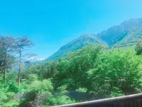 匠の宿 深山桜庵の写真・動画_image_201831
