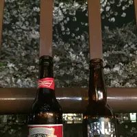目黒川の桜並木の写真・動画_image_202048