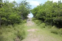 友ヶ島の写真・動画_image_202075