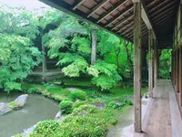 蓮華寺の写真・動画_image_202127
