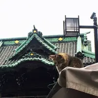 題経寺（柴又帝釈天）の写真・動画_image_202147