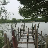 矢切の渡しの写真・動画_image_202208