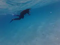 八重干瀬の写真・動画_image_202220