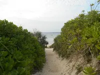 砂山ビーチの写真・動画_image_202317