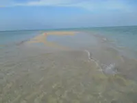 池間大橋の写真・動画_image_202376