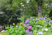 東勝寺宗吾霊堂の写真・動画_image_202399