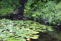 東勝寺宗吾霊堂の写真・動画_image_202401