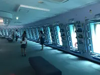 宮古島海中公園の写真・動画_image_202505