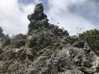 石庭の写真・動画_image_202510