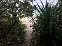 池間大橋の写真・動画_image_202524