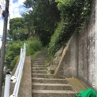 山の上ベーカリーの写真・動画_image_202555