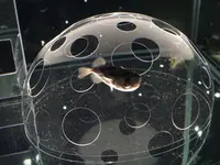 NIFREL（ニフレル）の写真・動画_image_202590