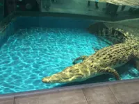 NIFREL（ニフレル）の写真・動画_image_202592