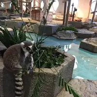 NIFREL（ニフレル）の写真・動画_image_202608