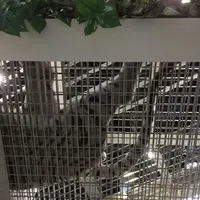 NIFREL（ニフレル）の写真・動画_image_202619