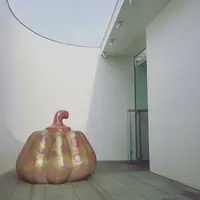 草間彌生美術館の写真・動画_image_202620