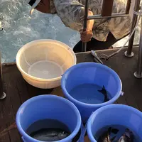 With‐Oceanの写真・動画_image_202711