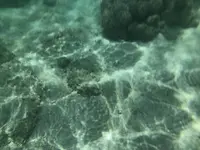 新城海岸の写真・動画_image_202716