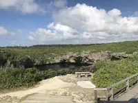 通り池の写真・動画_image_202746