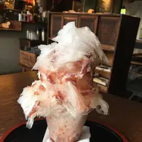朱雀の写真・動画_image_202767