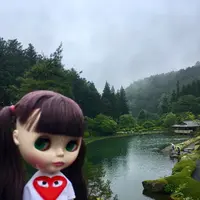 古峯神社の写真・動画_image_202771