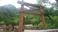 河童橋の写真・動画_image_202886