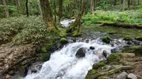 梓川の写真・動画_image_202890
