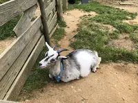 別所岳SAの写真・動画_image_202910