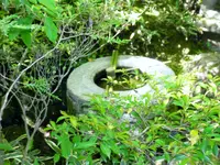 高桐院の写真・動画_image_203061