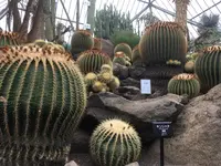伊豆シャボテン動物公園の写真・動画_image_203151