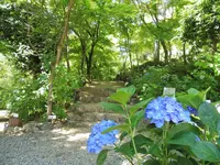 三光寺の写真・動画_image_203266