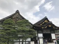 元離宮 二条城の写真・動画_image_203289