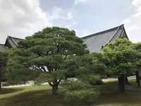 元離宮 二条城の写真・動画_image_203293