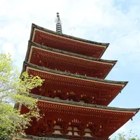 長谷寺の写真・動画_image_203314