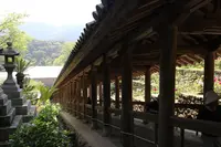 長谷寺の写真・動画_image_203316