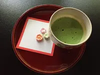 長谷寺の写真・動画_image_203317