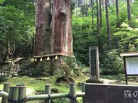 御岩神社の写真・動画_image_203395