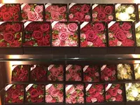 Millefiori 表参道ヒルズ店の写真・動画_image_203400