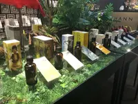 THANNの写真・動画_image_203406