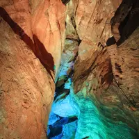 面不動鍾乳洞の写真・動画_image_203546