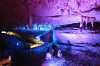 面不動鍾乳洞の写真・動画_image_203547